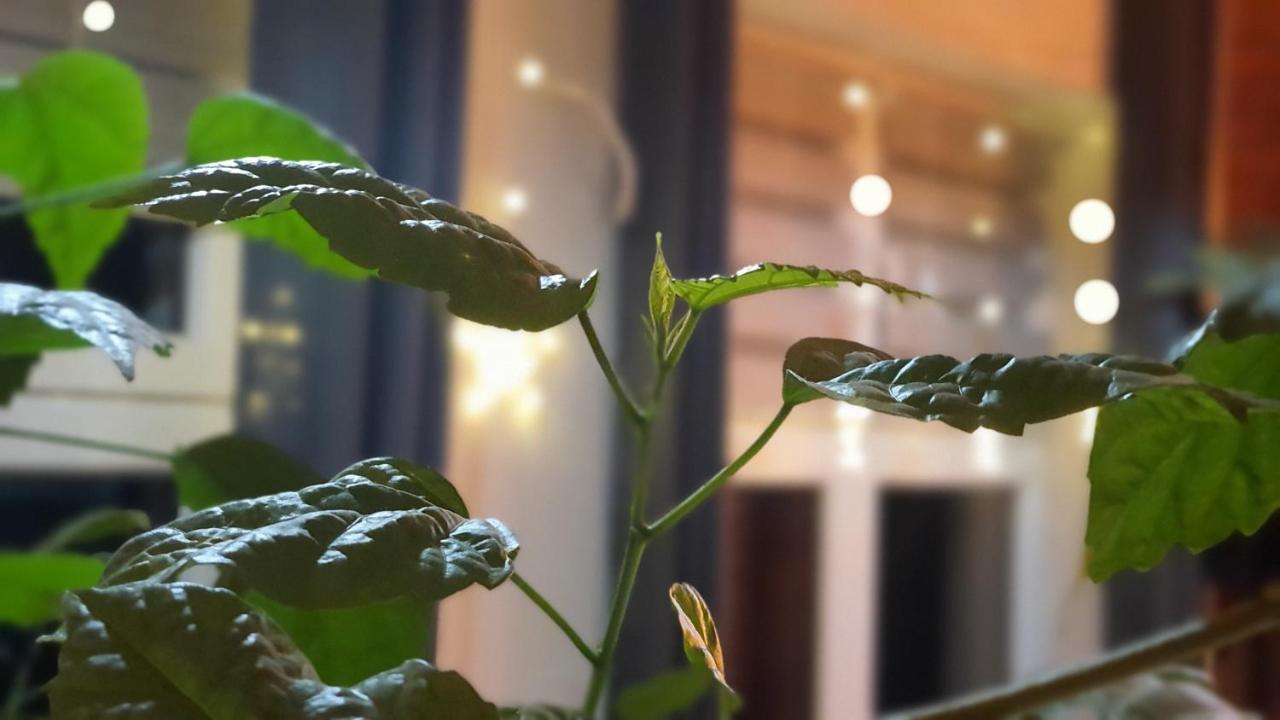 Stara Szkola W Weremowicach Apartman Weremowice Kültér fotó